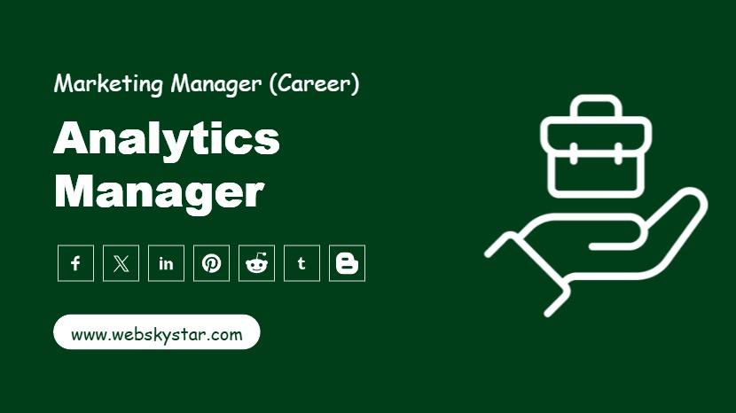 Analytics Manager