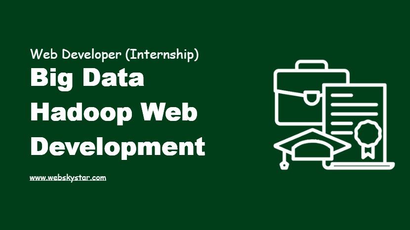Big Data Hadoop Web Development