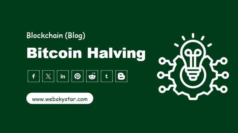 Bitcoin halving effect