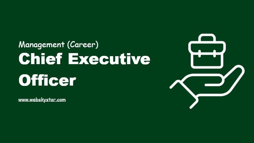 Chief Executive Officer
