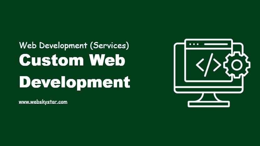 Custom Web Development Solution
