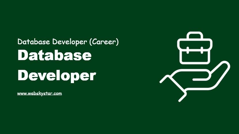 Database Developer