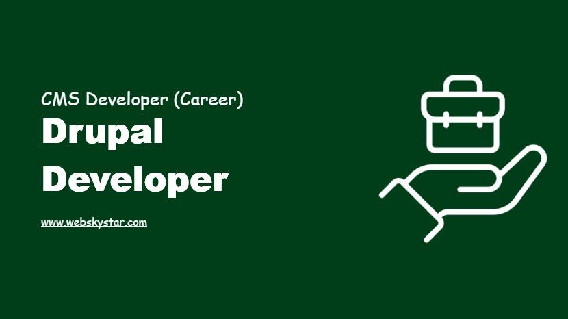Drupal Developer