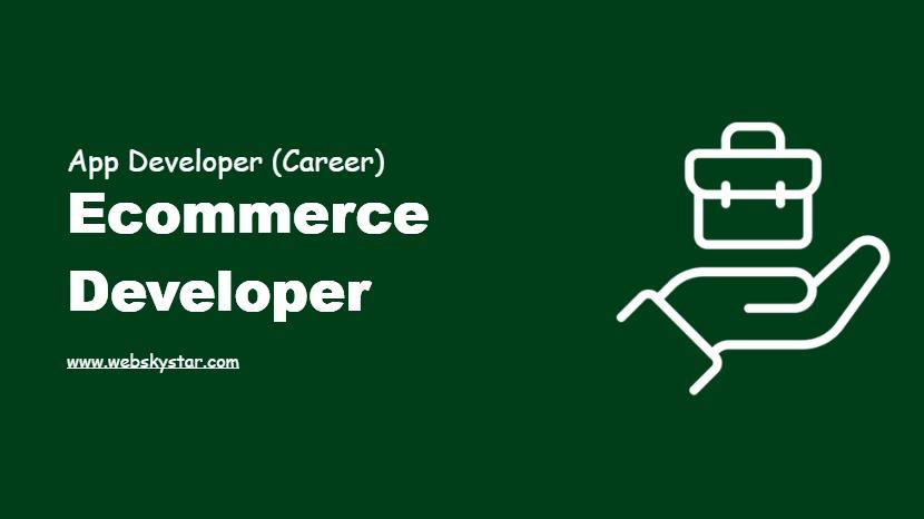 Ecommerce Developer