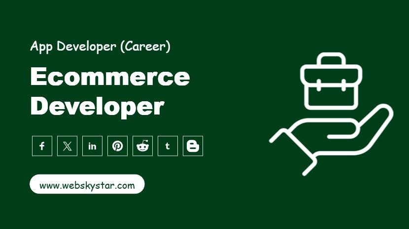 Ecommerce Developer