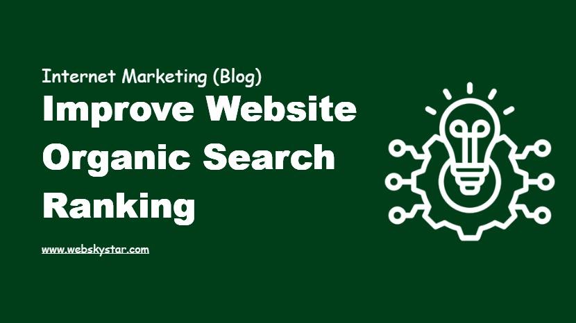 Improve Website Organic Search Ranking