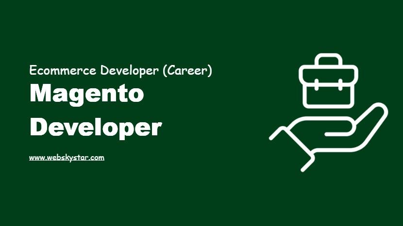 Magento Developer