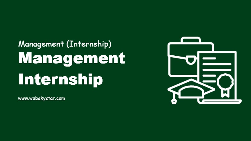 Management Internship