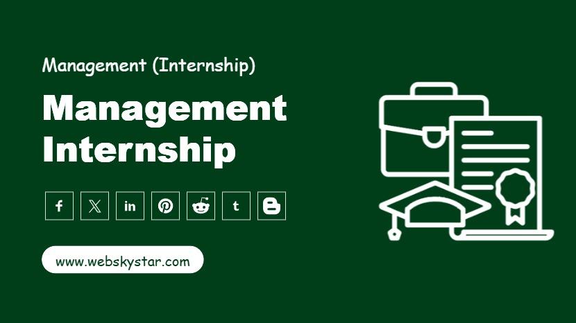 Management Internship