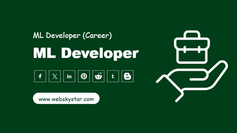 ML Developer