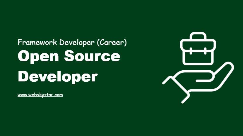 Open Source Developer