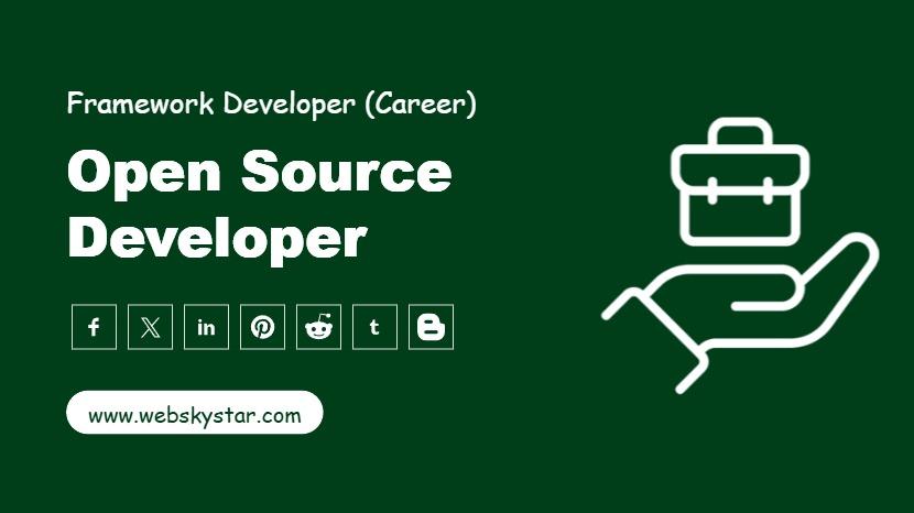 Open Source Developer