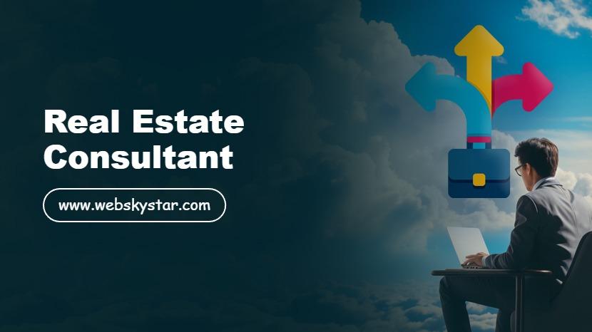 Real Estate Consultant