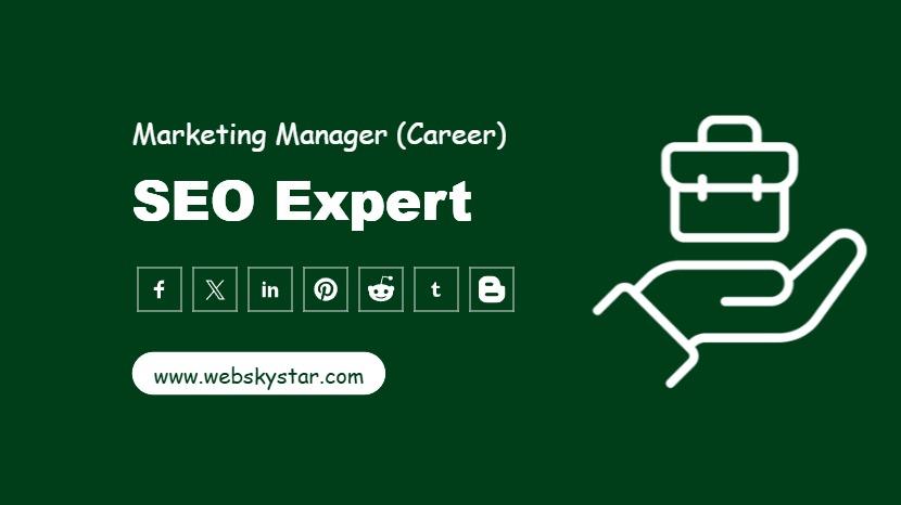 SEO Expert