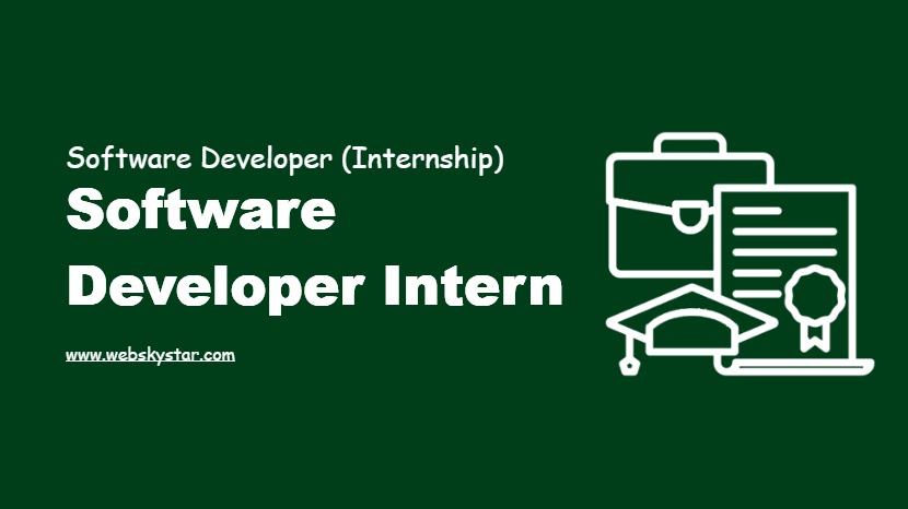 Software Developer Intern