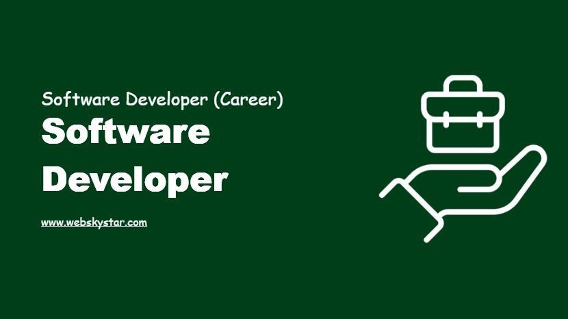Software Developer