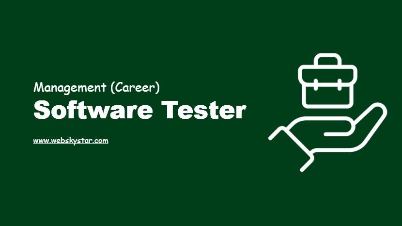 Software Tester