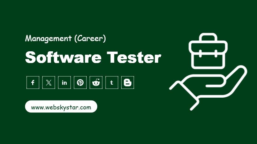 Software Tester
