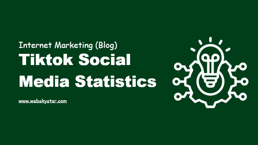 Tiktok Social Media Statistics