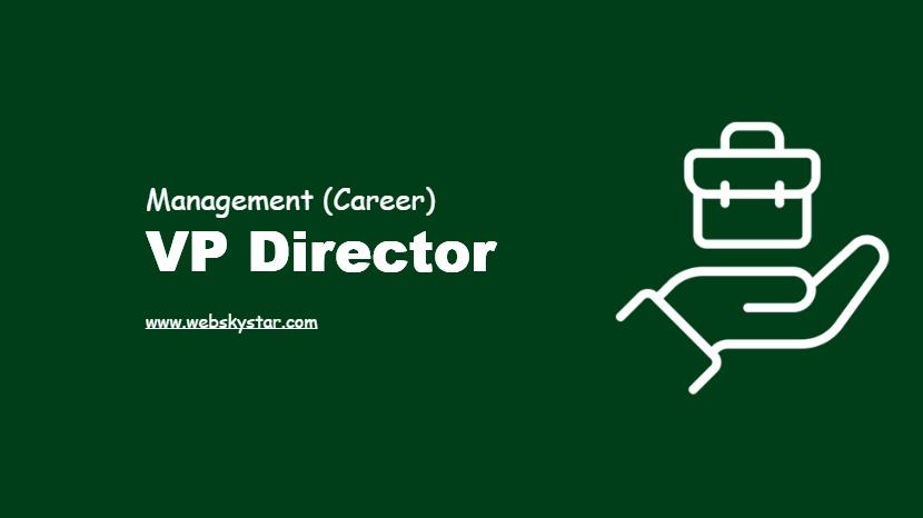 VP Director