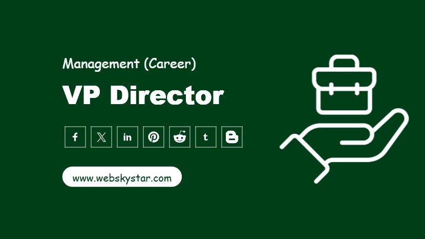 VP Director