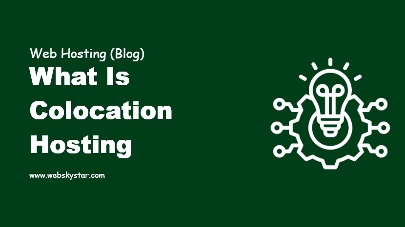 What is Colocation Hosting