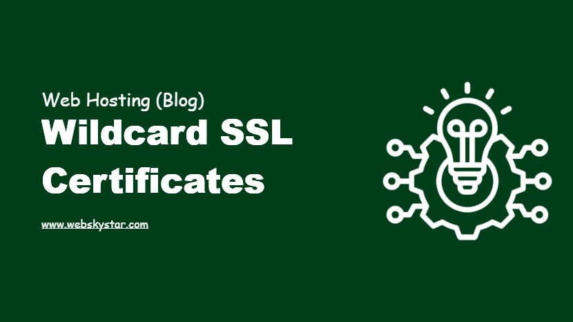 Wildcard SSL Certificates