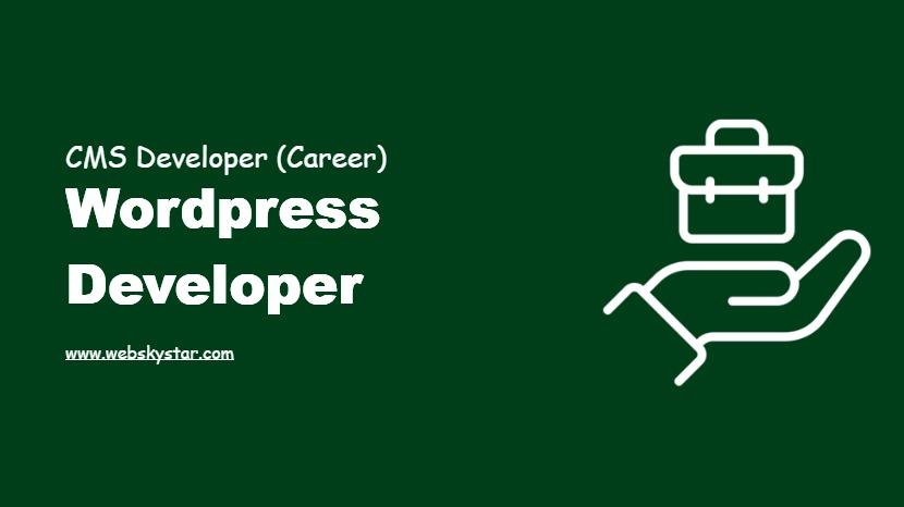 Wordpress Web Developer